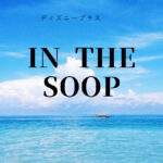 INTHESOOP
